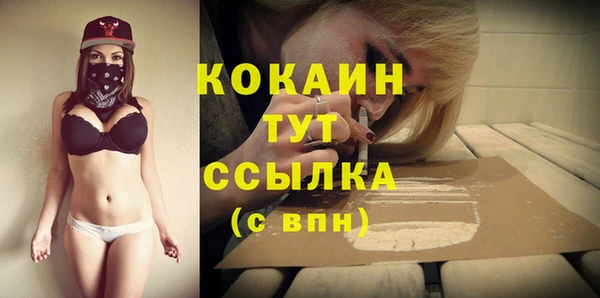 apvp Алзамай