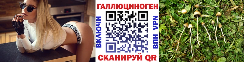 Галлюциногенные грибы Psilocybe  Оса 